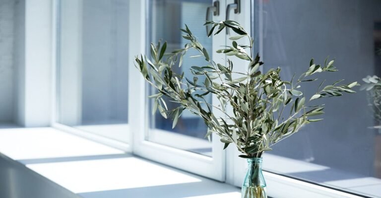 Window and Door Corporations: Tips on how to Select the Greatest Window Glazing